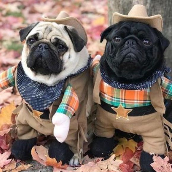 Meet your Posher, Leah sakura kobayashi - Picture 1 of 1